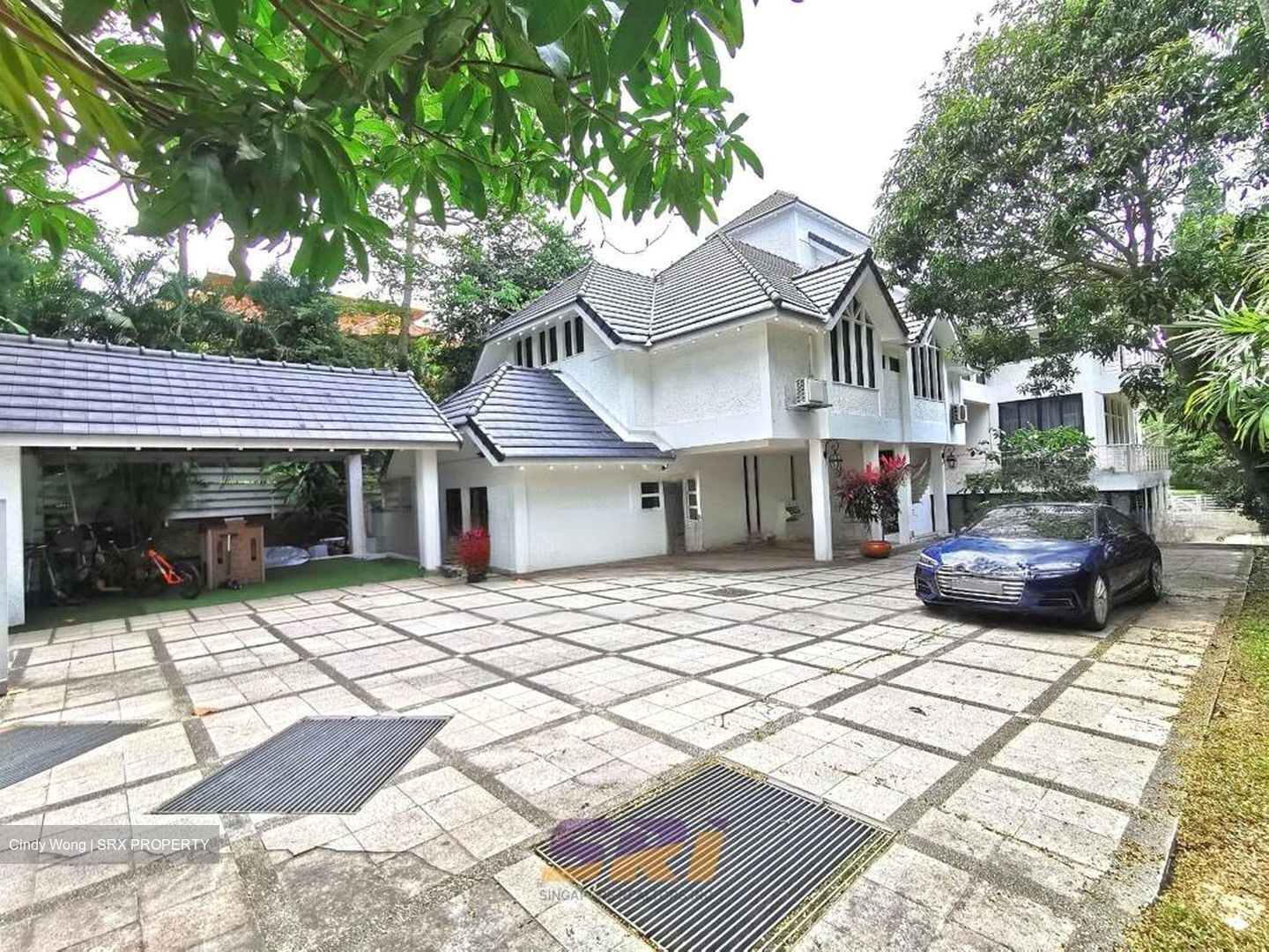 Leedon Park (D10), Detached #478589931